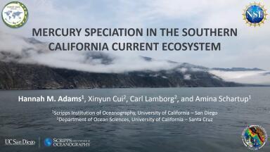 Mercury Speciation in the Southern California Current Ecosystem